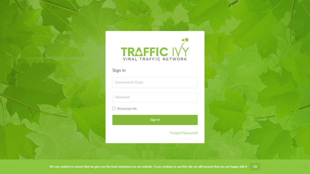 Traffic Ivy